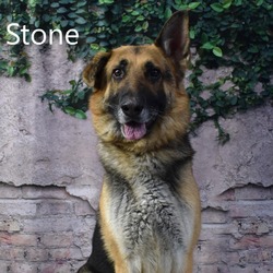 Thumbnail photo of Stone #1