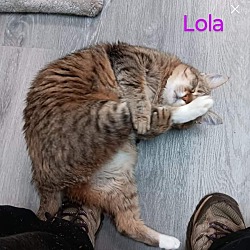 Thumbnail photo of LOLA #3