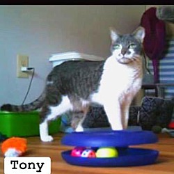 Photo of Tony