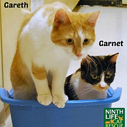 Thumbnail photo of Gareth & Garnet #3
