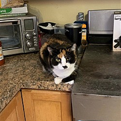Photo of Carly
