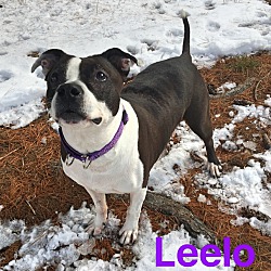 Thumbnail photo of Leelo #1