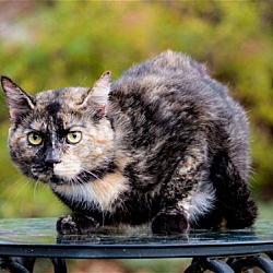 Photo of HERMIONE