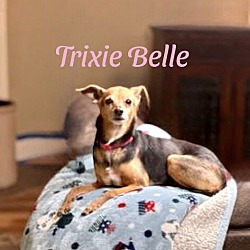 Thumbnail photo of TRIXIE BELLE #1