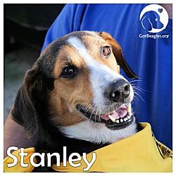 Thumbnail photo of Stanley #1