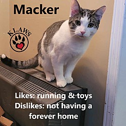 Photo of Macker