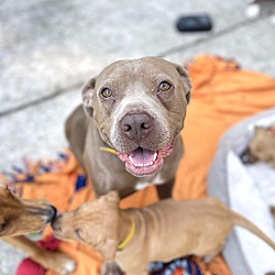 Photo of LuLu