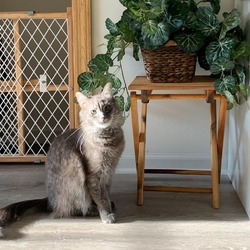 Photo of Zara