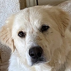 Photo of Handsome Hank