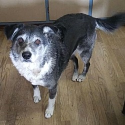Photo of Sweetie