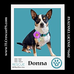 Photo of Donna 042024