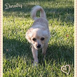 Thumbnail photo of DOROTHY #3