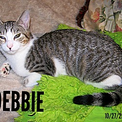 Photo of DEBBIE