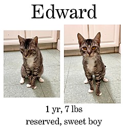 Thumbnail photo of Edward #1