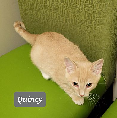 Photo of Quincy #0