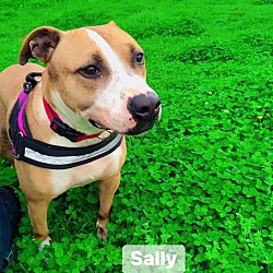 Thumbnail photo of Sally #1