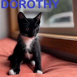Thumbnail photo of DOROTHY & FASTIE  ~ brother & sister duo #3