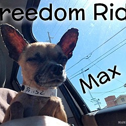 Thumbnail photo of Max #3