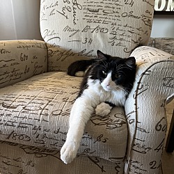 Photo of Felix