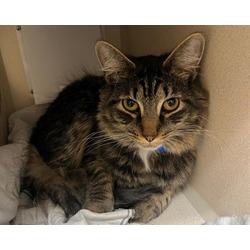 Photo of MR. BEAR