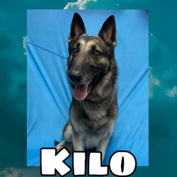 Photo of Kilo