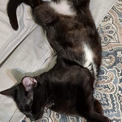 Photo of Void