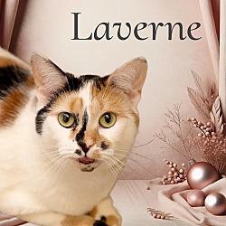 Thumbnail photo of Laverne #1