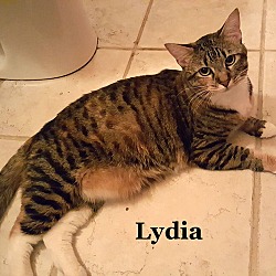 Thumbnail photo of Lydia #4