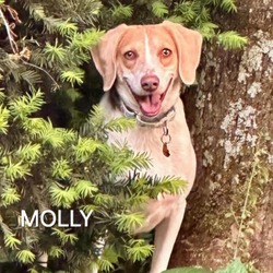 Thumbnail photo of Molly #4
