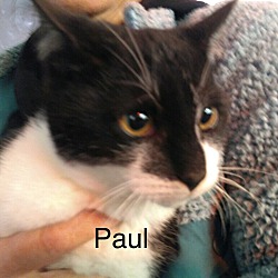 Photo of Paul
