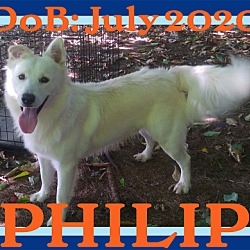 Photo of PHILIP