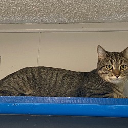 Thumbnail photo of Dimitri #2