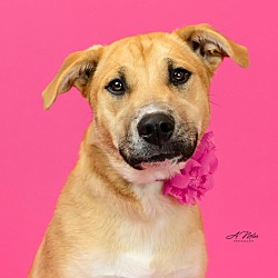 Photo of Sissy/Buddie