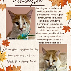 Thumbnail photo of Remington #3