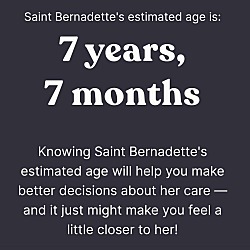 Thumbnail photo of Saint Bernadette #3