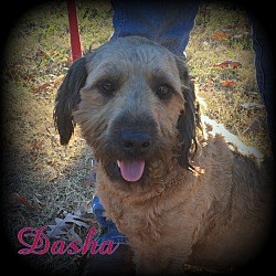 Thumbnail photo of Dasha #1