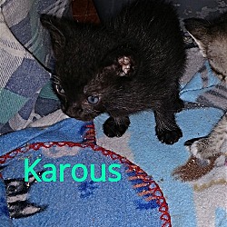 Photo of Karous