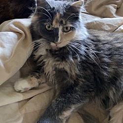 Photo of Theo