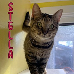 Thumbnail photo of Stella (McCartney) #2