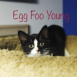 Thumbnail photo of Egg Foo Young #2