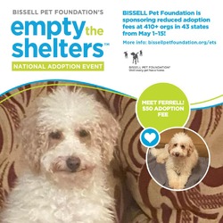 Photo of Ferrell - $50 Bissell Sponsored Adoption Fee!