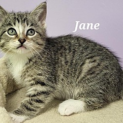 Thumbnail photo of Jane #2