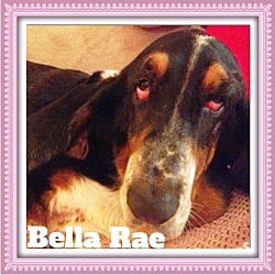 Photo of Bella Rae