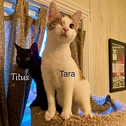 Thumbnail photo of Tara #3