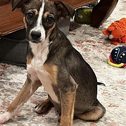 Photo of Grace - Gorgeous Girl!