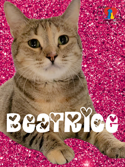 Photo of Beatrice