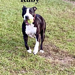 Photo of Ruby Sky