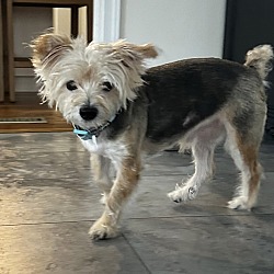 Photo of Shaggy - In Foster