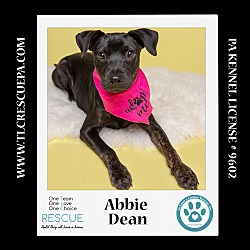 Thumbnail photo of Abbie Dean 081724 #1