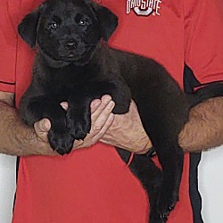 Photo of Max